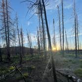 Review photo of Ute Pass Dispersed Camping by Andrew W., June 22, 2022