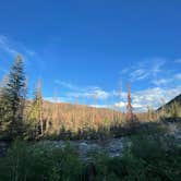 Review photo of Ute Pass Dispersed Camping by Andrew W., June 22, 2022