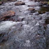 Review photo of Chapman Campground And Group Camp - White River NF by Erin E., July 16, 2018