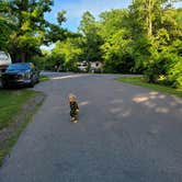 Review photo of Alum Creek State Park Campground by Greg S., June 23, 2022