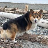 Review photo of Birch Bay State Park Campground by Keith M., June 23, 2022