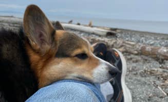 Keith M.'s photo of camping with pets at Birch Bay State Park Campground near Lummi Island, WA