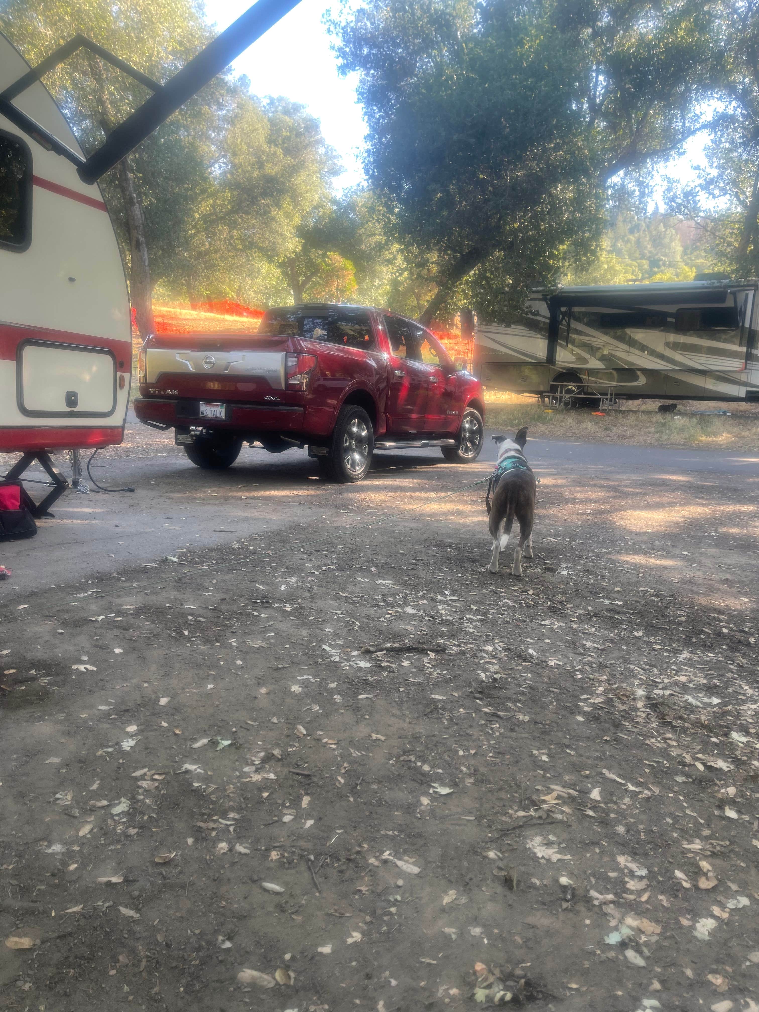 Margot S.'s photo of camping with pets at Thousand Trails Russian River near Healdsburg, CA