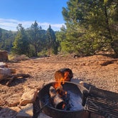 Review photo of Zion Ponderosa Ranch Resort by Glenna L., June 23, 2022