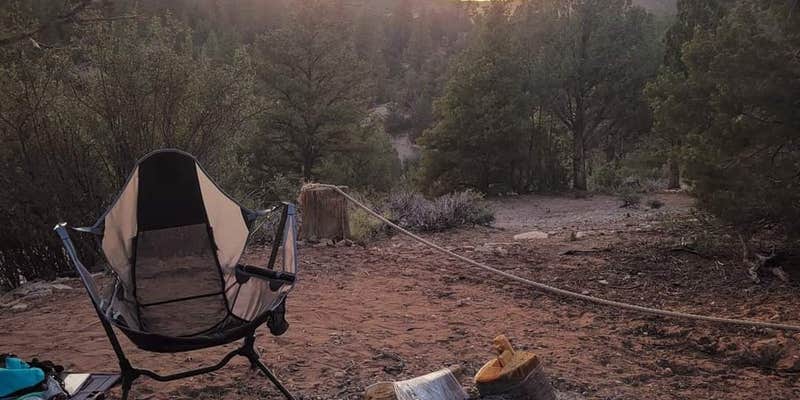 Camper submitted image from Zion Ponderosa Ranch Resort