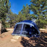 Review photo of Zion Ponderosa Ranch Resort by Glenna L., June 23, 2022