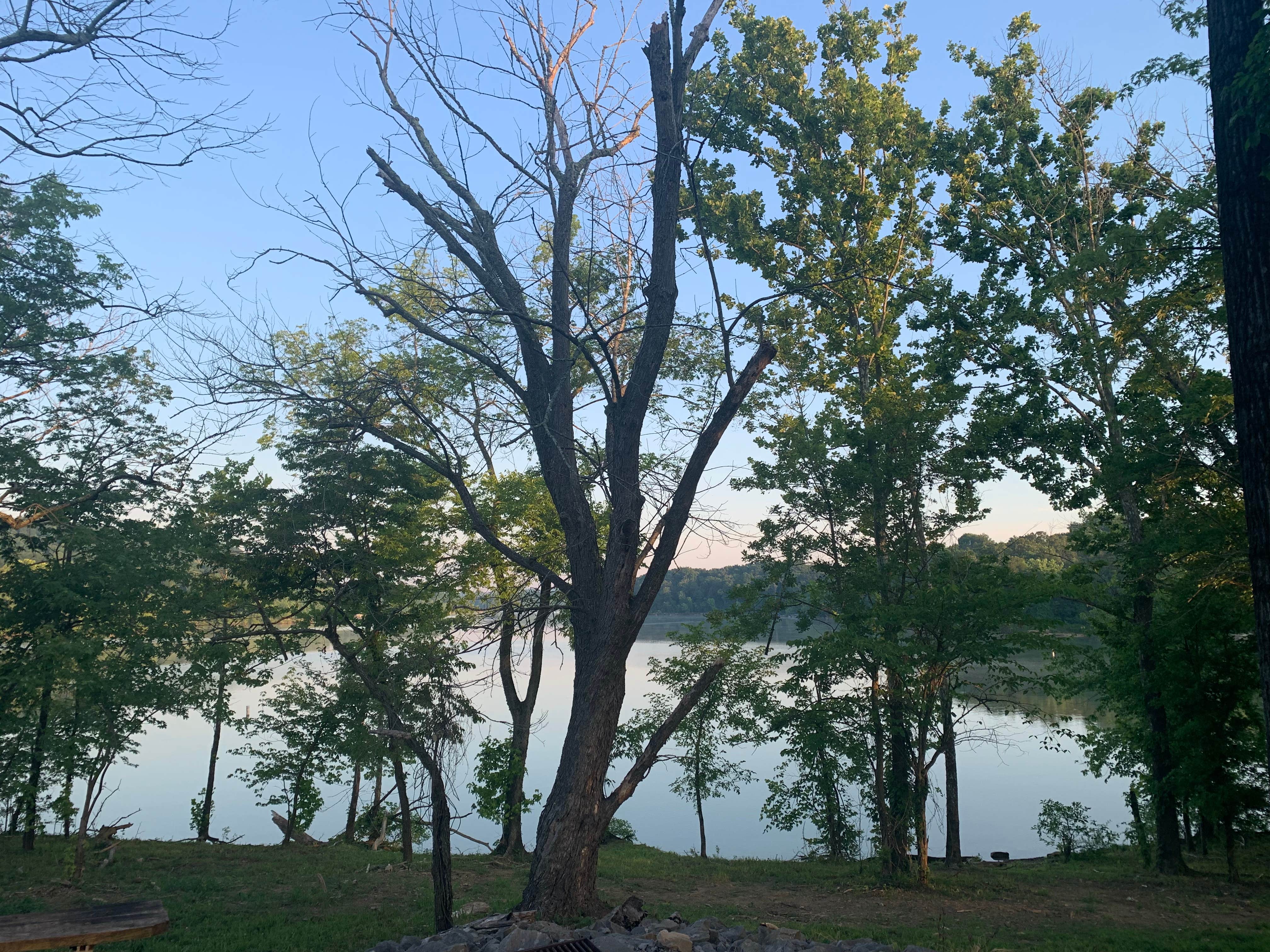 Camper-submitted photo at Wax - Nolin River Lake near Munfordville, KY