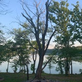 Review photo of Wax - Nolin River Lake by Alison K., June 23, 2022