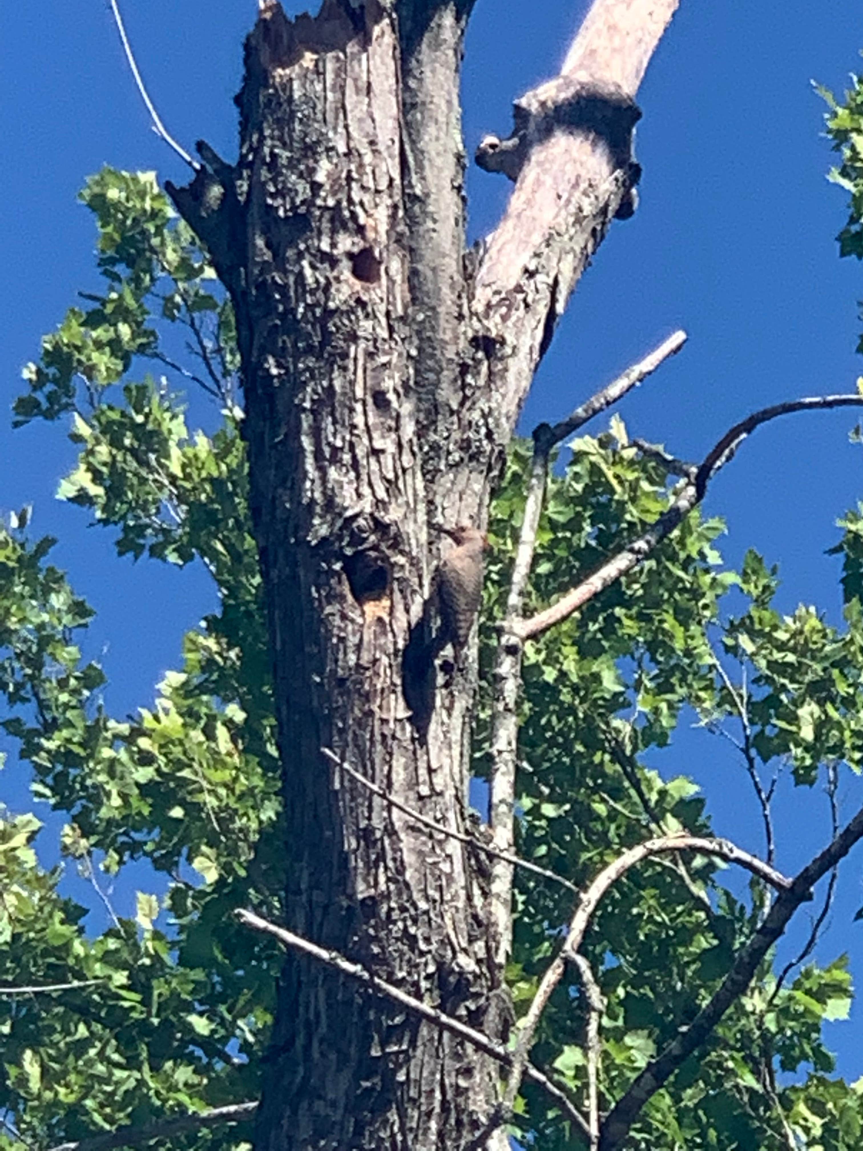 Camper-submitted photo at Wax - Nolin River Lake near Horse Cave, KY