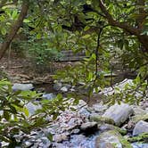 Review photo of Montreat Family Campground by Alison K., June 23, 2022