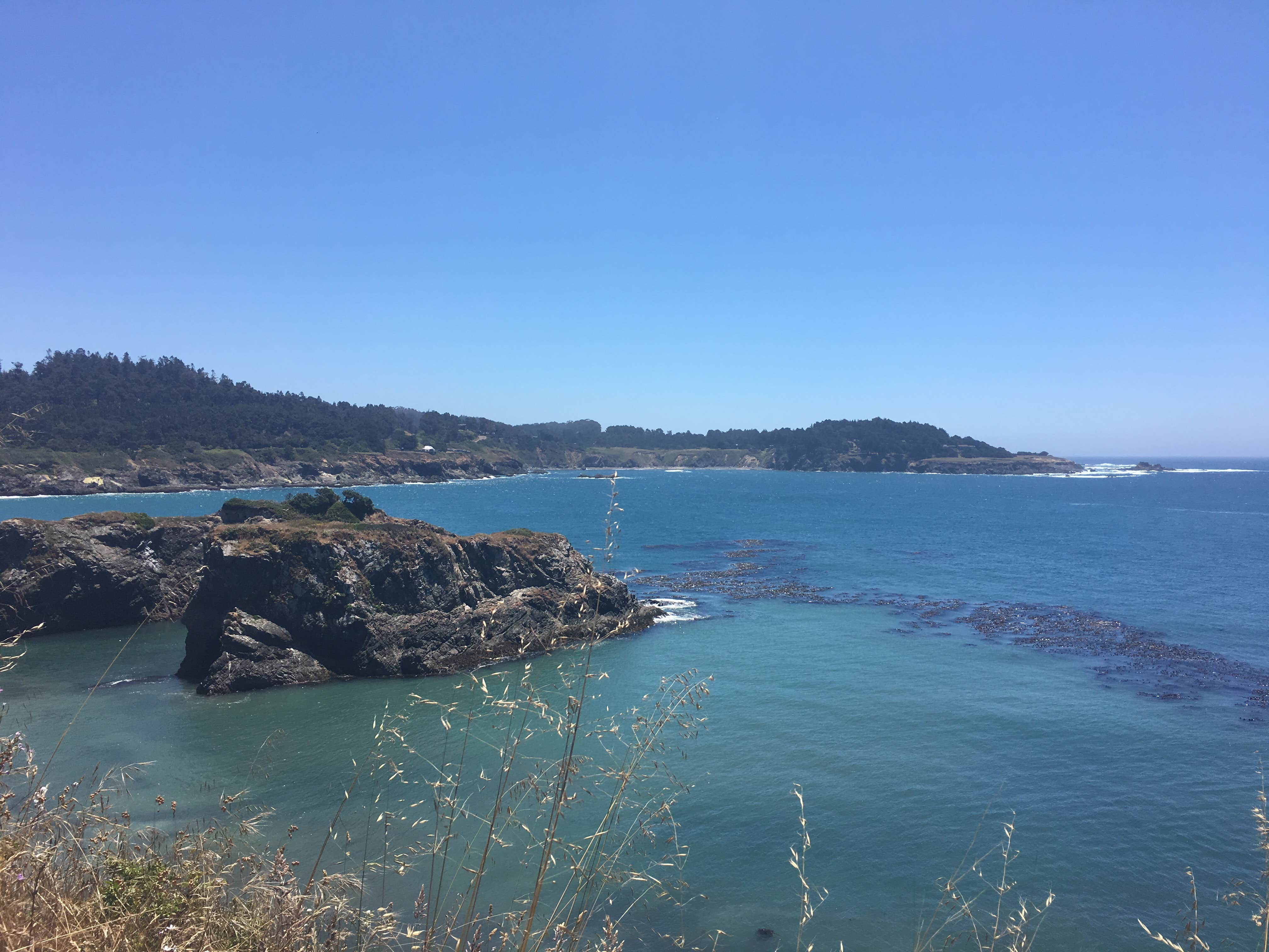 Camper-submitted photo at Pomo RV Park & Campground near Fort Bragg, CA