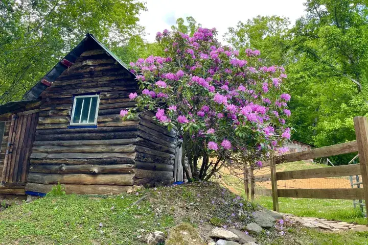 Camping near Toe River Campground - TEMPORARILY CLOSED: SólGaia, Green Mountain, North Carolina