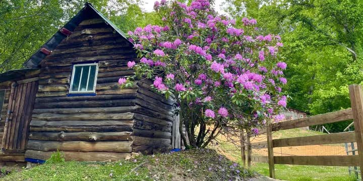 Camper submitted image from SólGaia