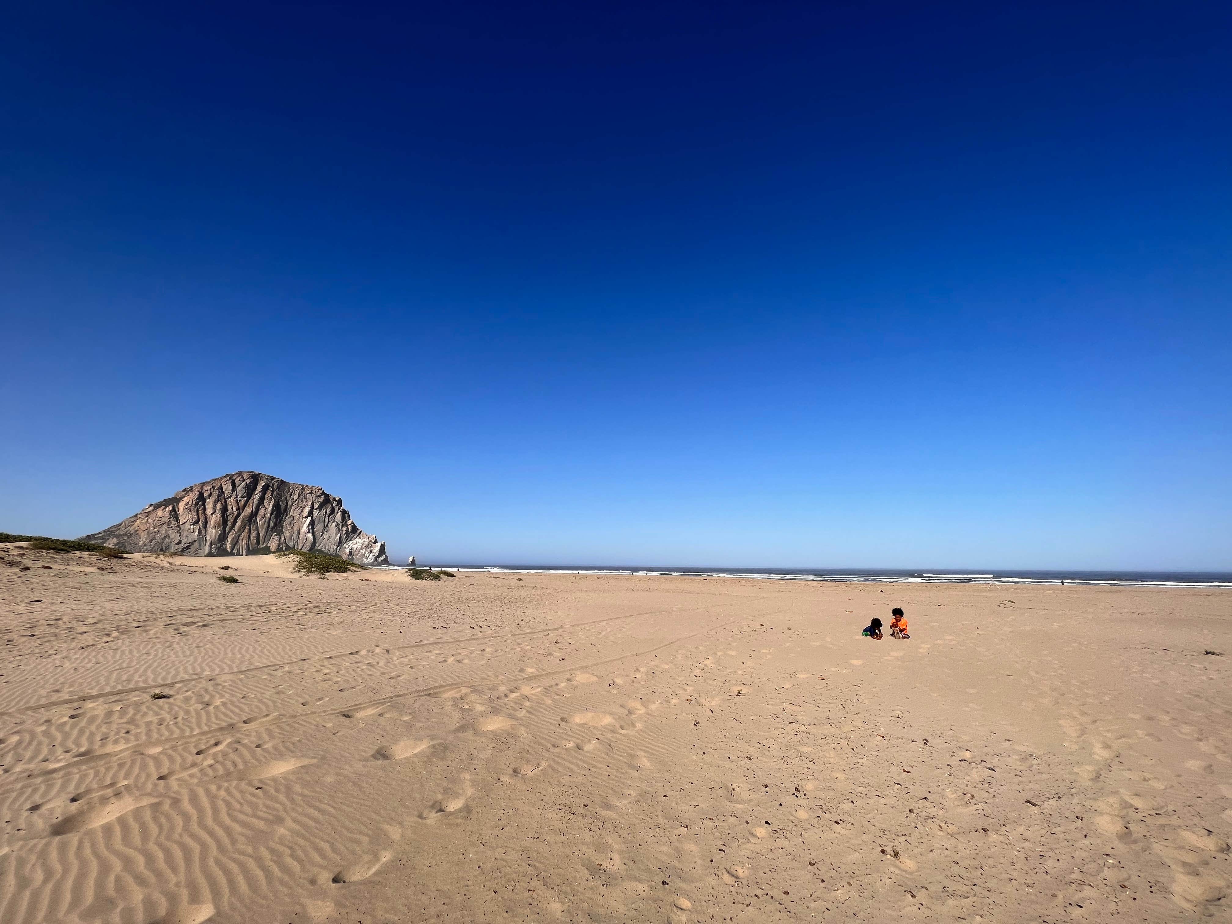 Camper submitted image from Morro Strand RV Park - 1