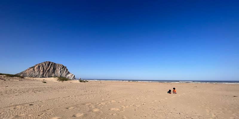 Camper submitted image from Morro Strand RV Park