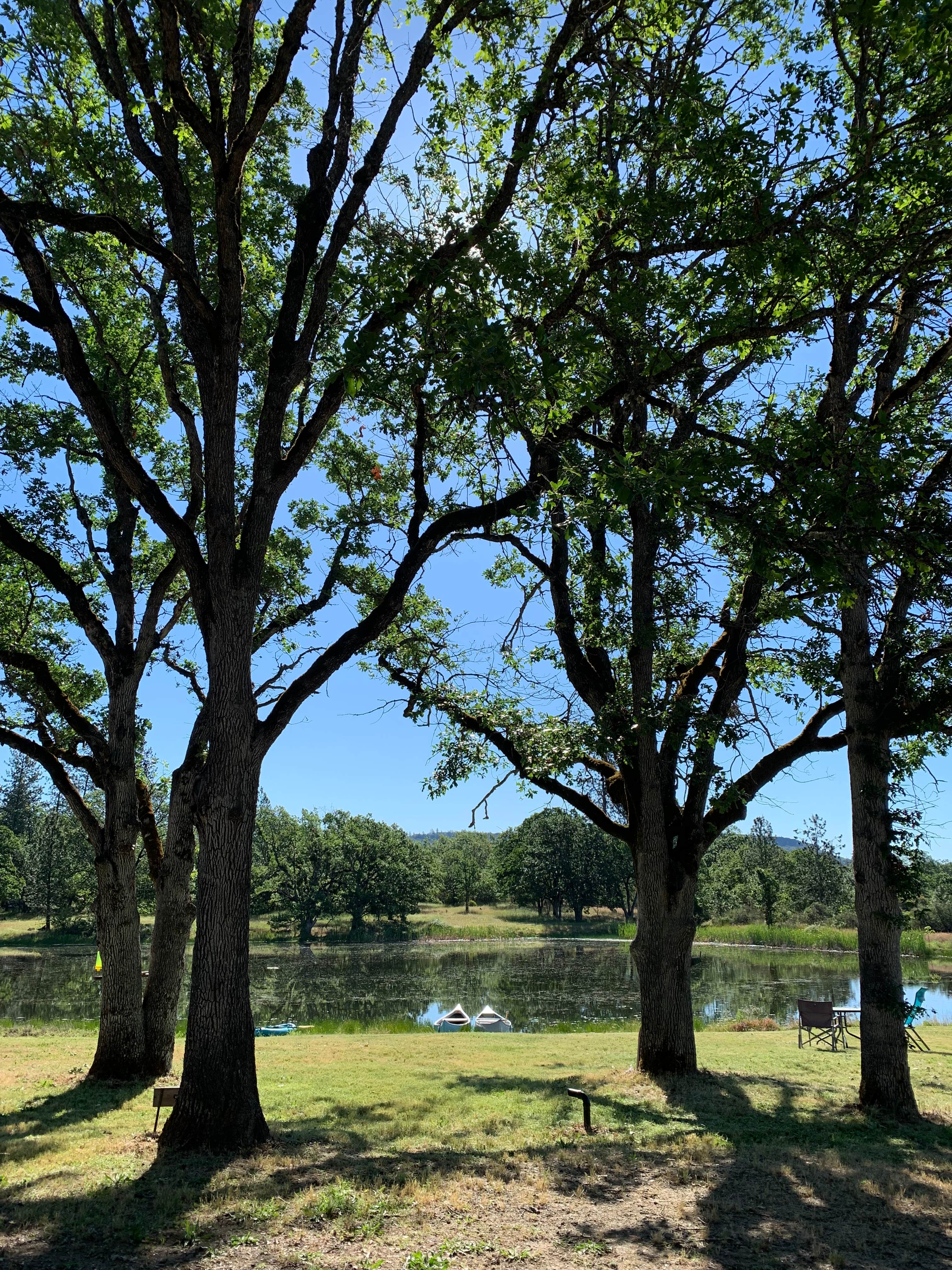 Camper-submitted photo at On Sacred Grounds Relaxation Retreat near White City, OR