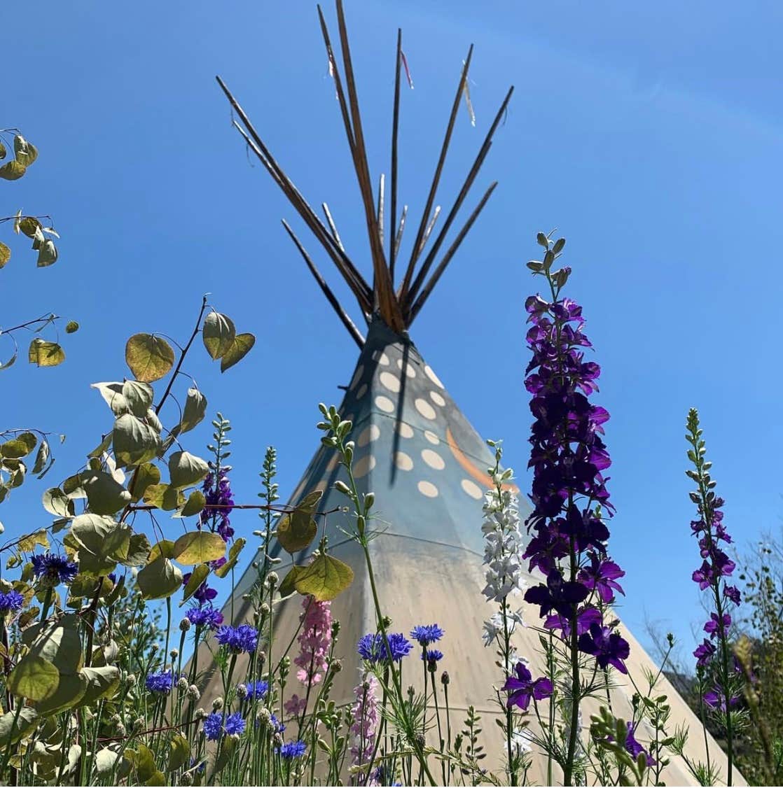 Camper-submitted photo at On Sacred Grounds Relaxation Retreat near White City, OR