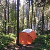 Review photo of Apgar Campground — Glacier National Park by Mary P., July 16, 2018