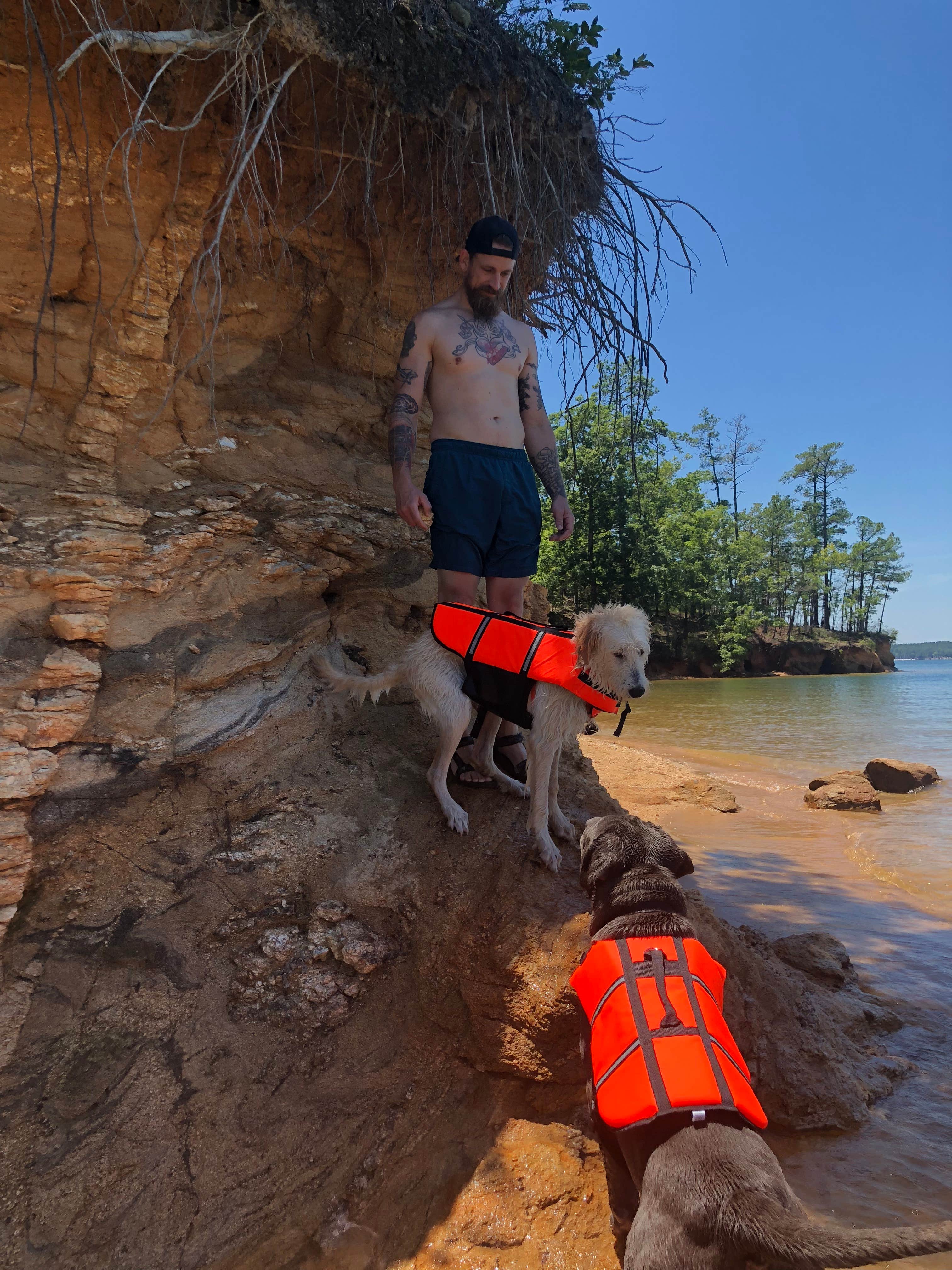 Camper submitted image from Modoc - J Strom Thurmond Lake - 5