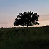 Review photo of Big Meadows Campground — Shenandoah National Park by Gail B., June 23, 2022