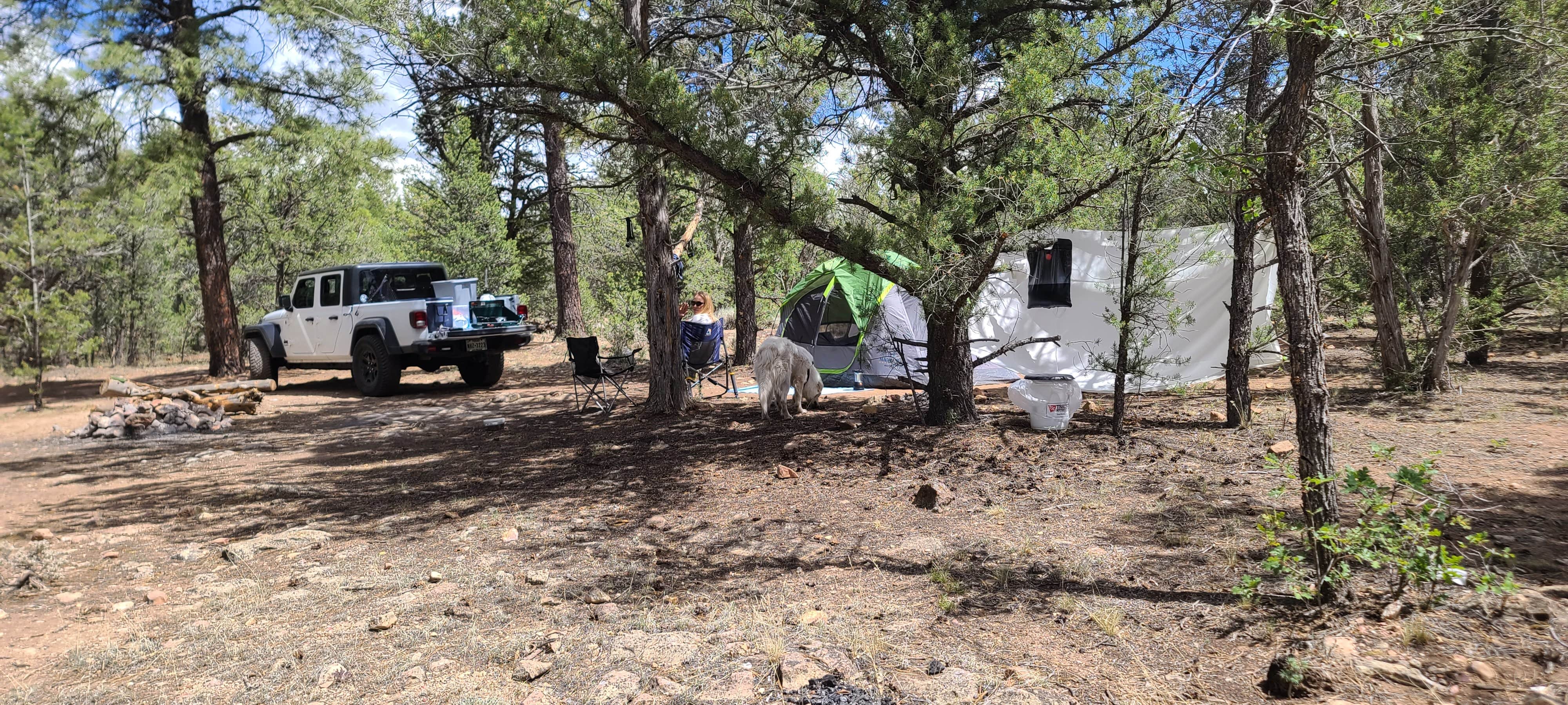 Austin S.'s photo of a dispersed camping area at FR 306 Dispersed Camping near Grand Canyon National Park
