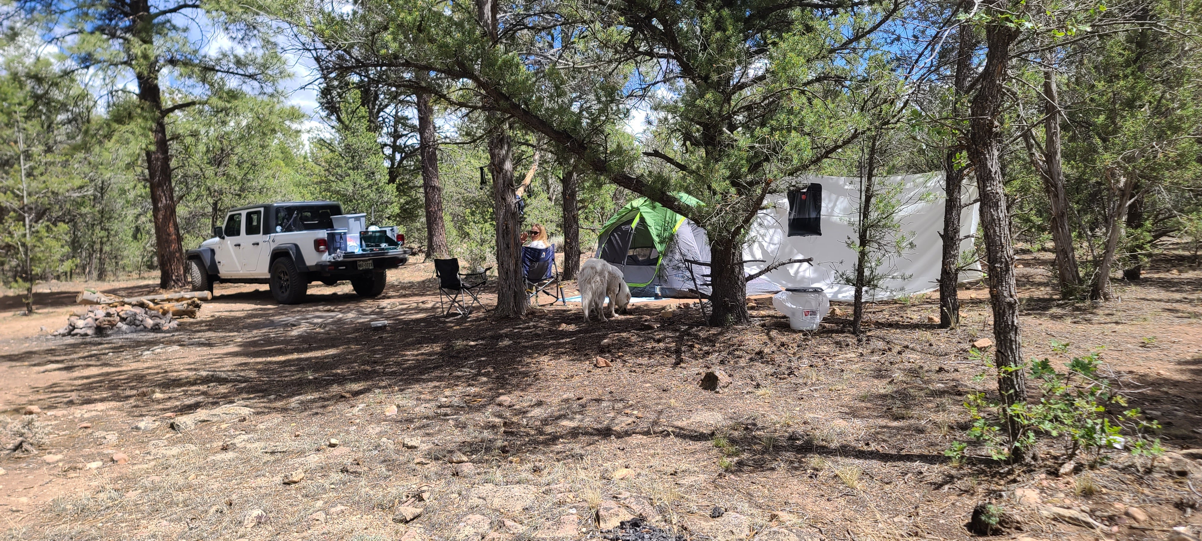 Camper submitted image from FR 306 Dispersed Camping  - 1