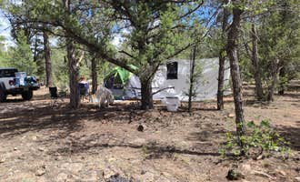 Camping near Fire Road 688: FR 306 Dispersed Camping , Grand Canyon, Arizona