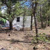 Review photo of FR 306 Dispersed Camping by Austin S., June 23, 2022