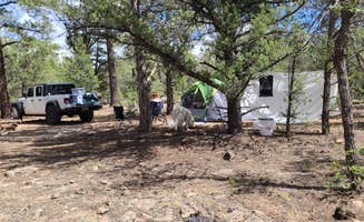 Austin S.'s photo of a dispersed camping area at FR 306 Dispersed Camping in Arizona