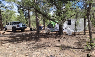 FR 306 Dispersed Camping 