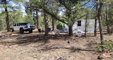 FR 306 Dispersed Camping 