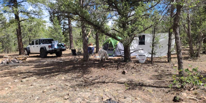 Camper submitted image from FR 306 Dispersed Camping