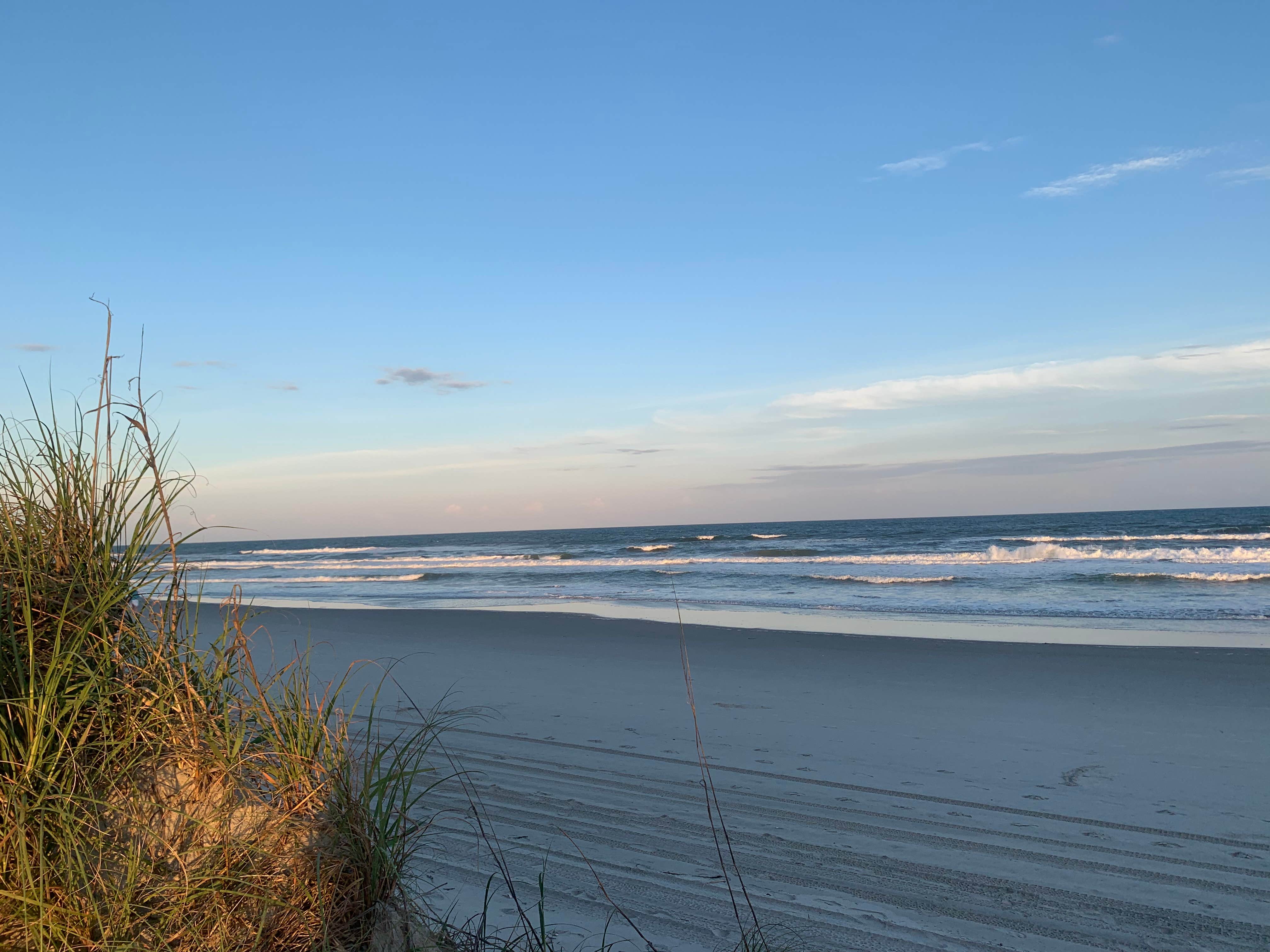 Hammocks Beach Bear Island Campsites — Hammocks Beach State Park