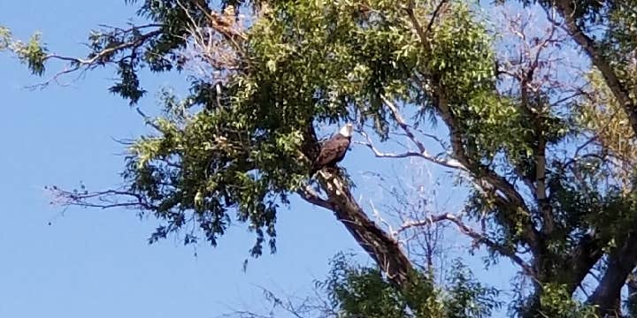 Camper submitted image from Cottonwood Creek