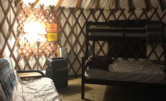 Fransheska A.'s photo of glamping accommodations at Trap Pond State Park Campground near Felton, DE
