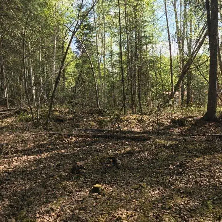Camping near Wickersham Creek Trail Shelter: Why Knot Sleep Here, Fort Wainwright, Alaska