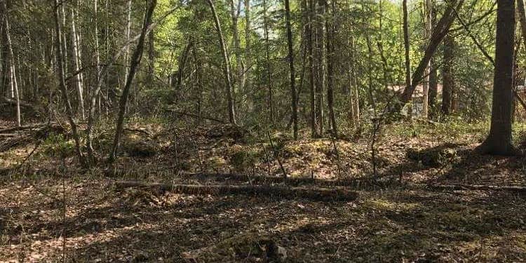 Camper submitted image from Why Knot Sleep Here