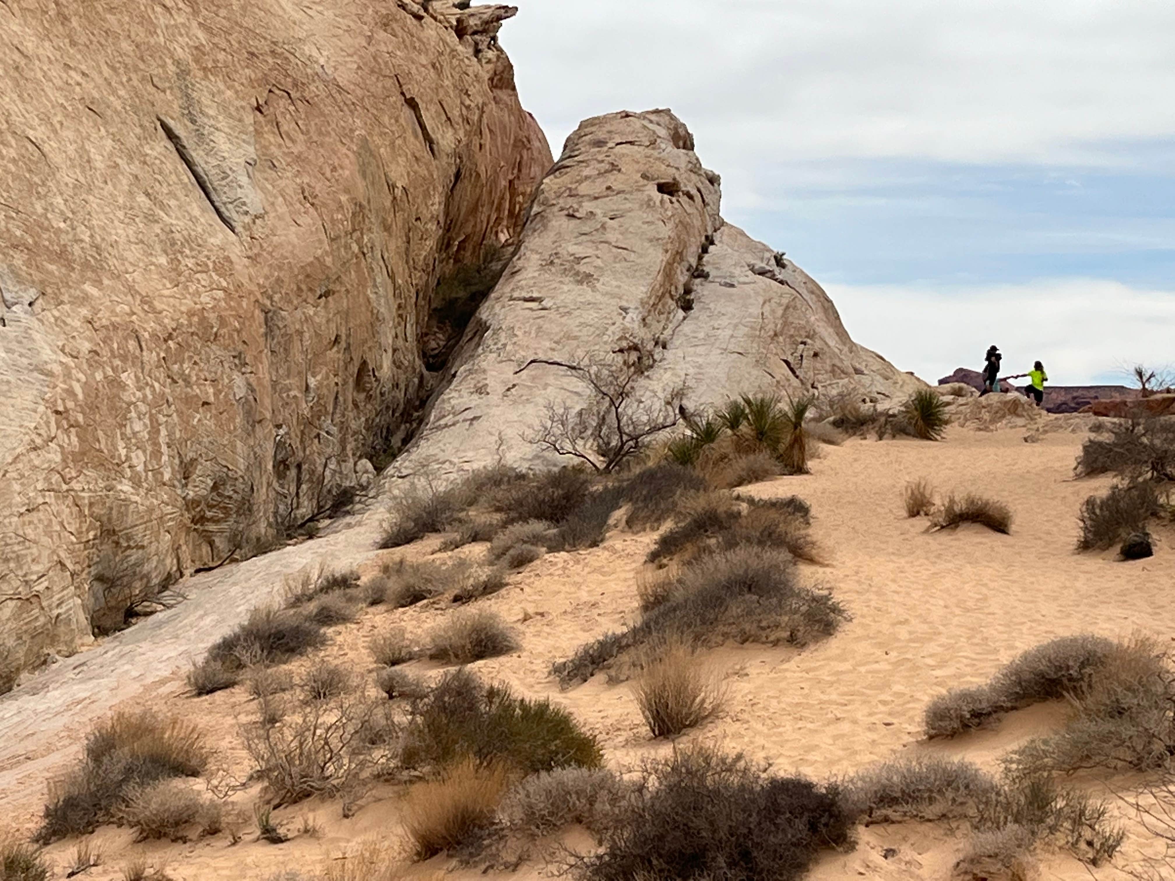 Camper submitted image from Valley of Fire Dispersed - 4