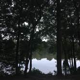 Review photo of Trap Pond State Park Campground by Fransheska A., July 16, 2018
