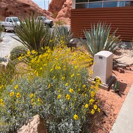 Valley of Fire Dispersed