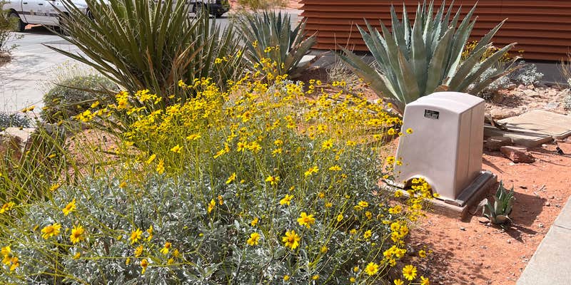 Camper submitted image from Valley of Fire Dispersed