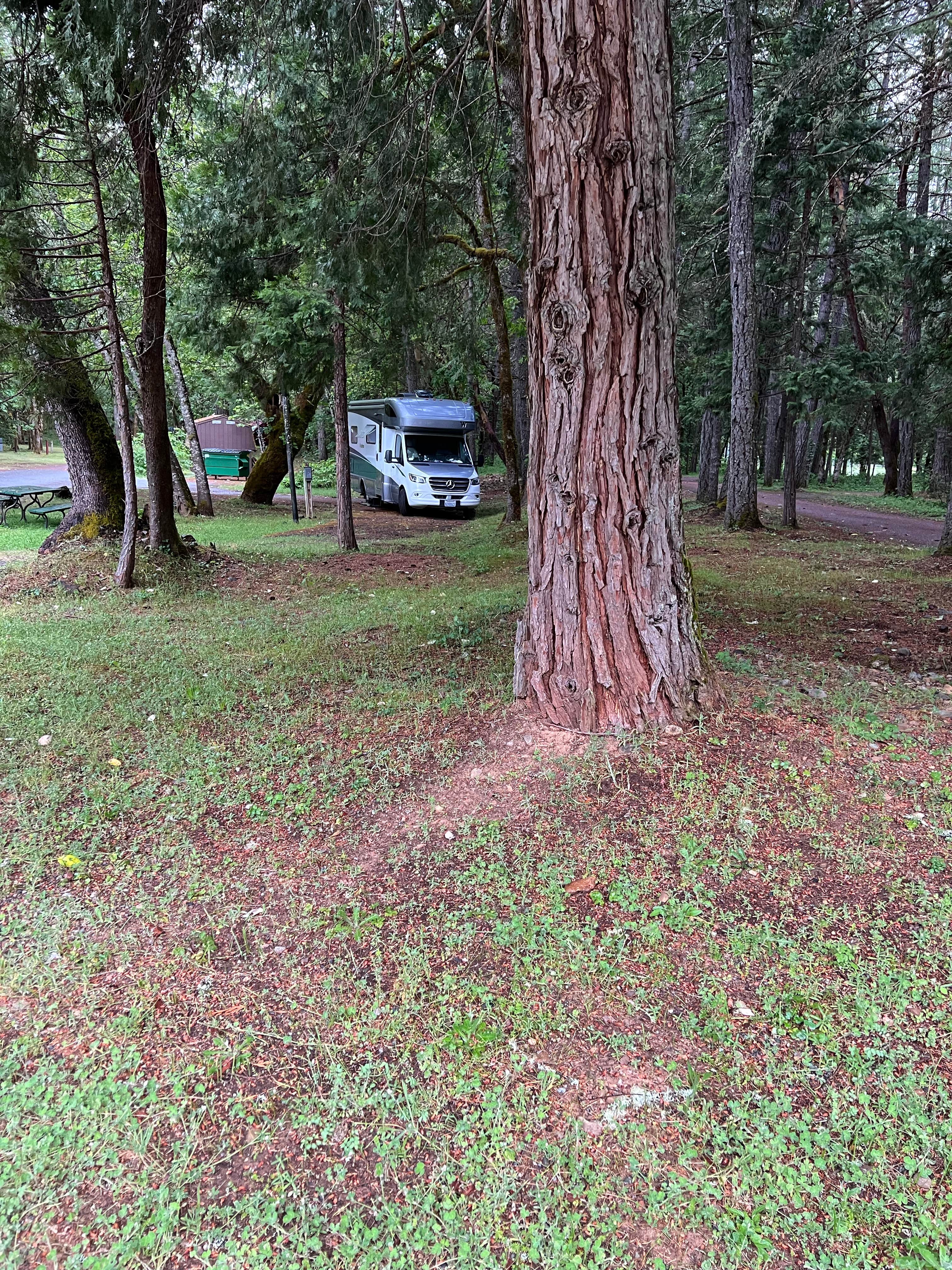 Camper-submitted photo at Wolf Creek Park near Wolf Creek, OR
