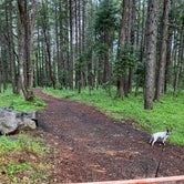 Review photo of Wolf Creek Park by Anja R., June 23, 2022