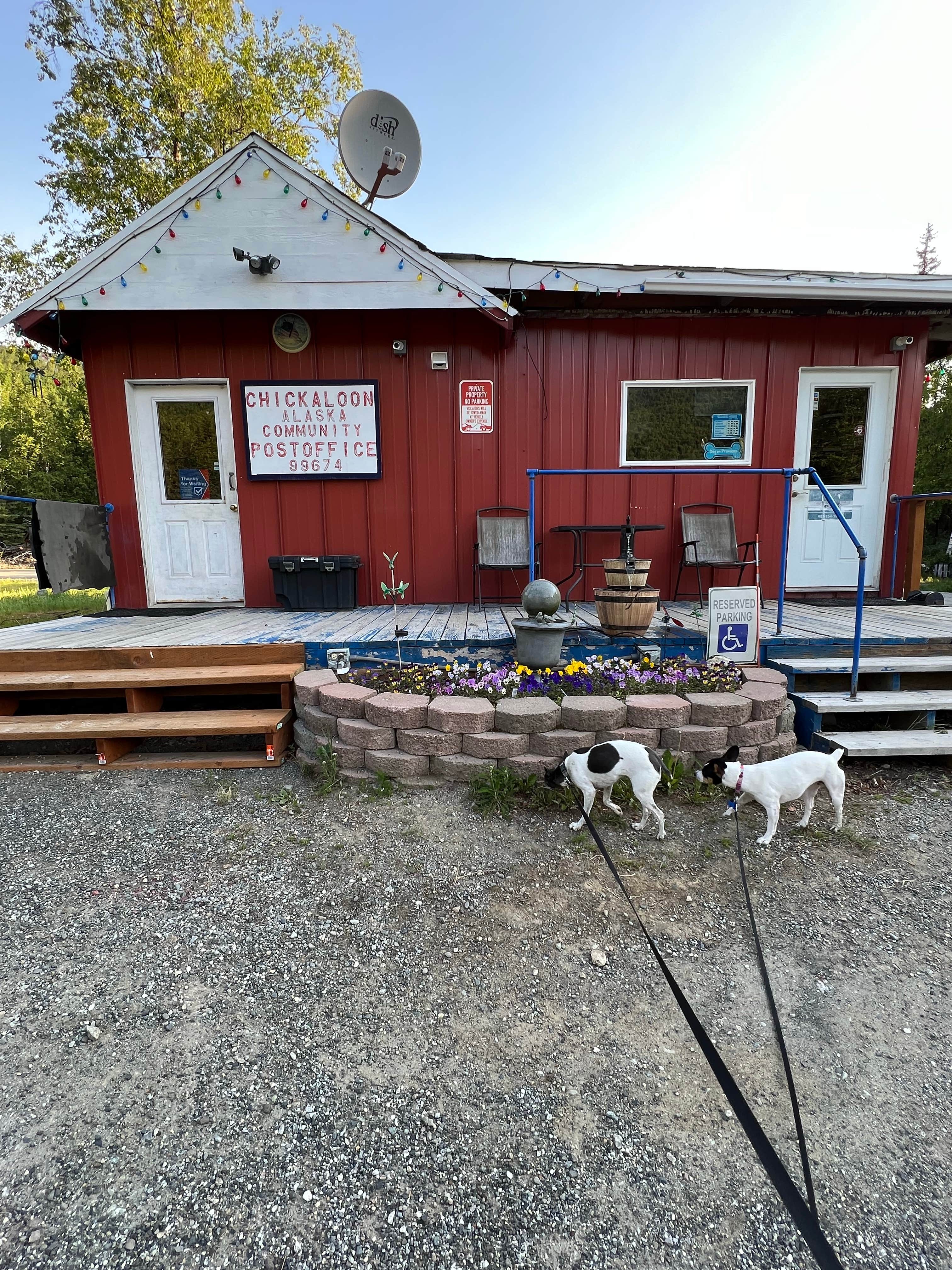 Camper-submitted photo at King Mountain State Rec Area near Sutton, AK