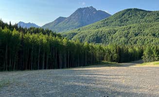Anja R.'s photo of camping with pets at King Mountain State Rec Area near Palmer, AK