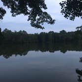Review photo of Trap Pond State Park Campground by Fransheska A., July 16, 2018