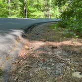 Review photo of Lake Powhatan — National Forests In North Carolina by Napunani , June 23, 2022