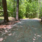 Review photo of Lake Powhatan — National Forests In North Carolina by Napunani , June 23, 2022