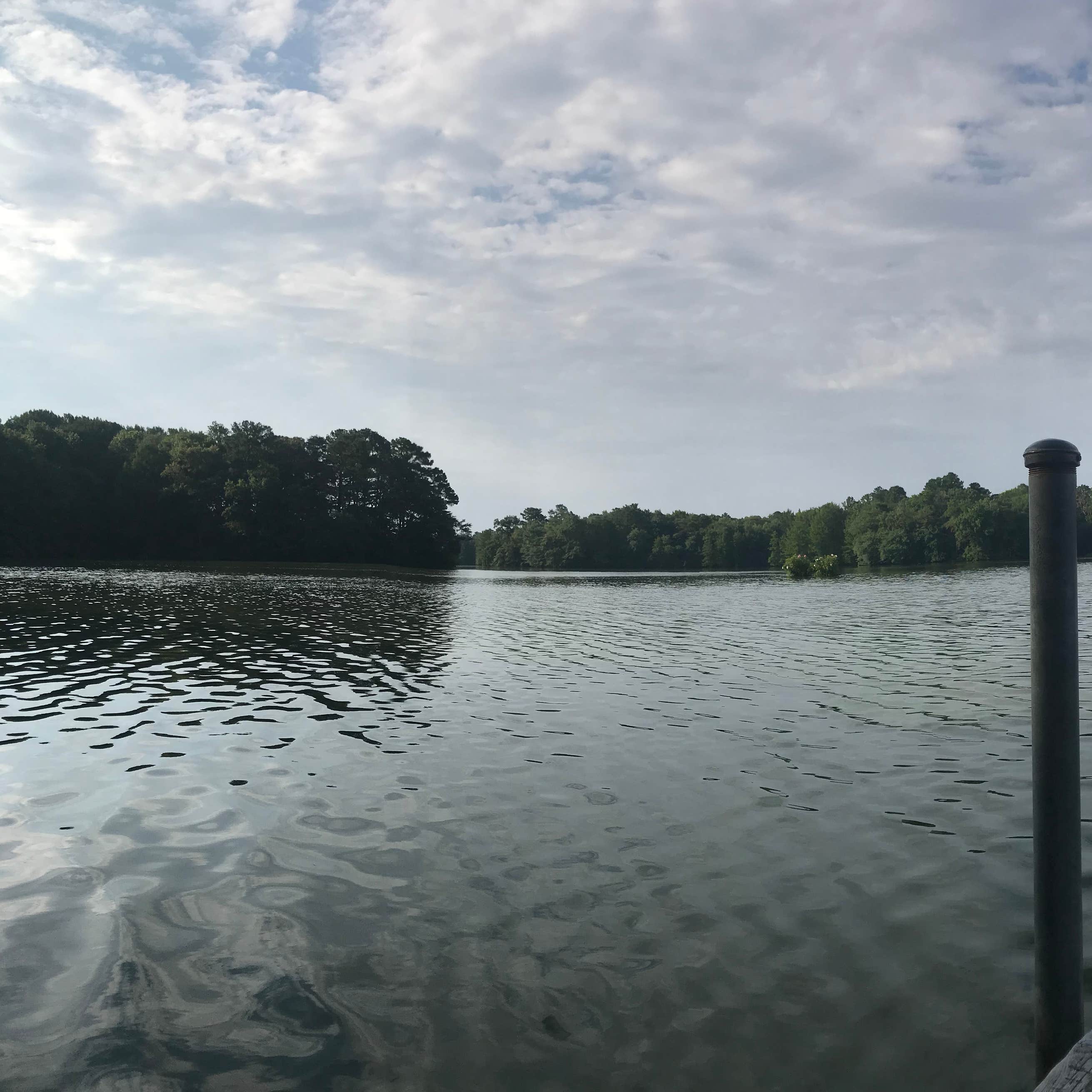 Trap Pond State Park Camping The Dyrt