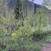 Review photo of Gore Creek Campground by Renae P., June 24, 2022